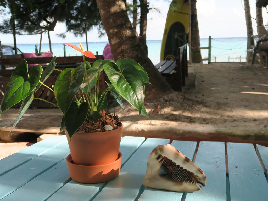 Eco Hotel Club Rolling Stone Boca Chica Dış mekan fotoğraf